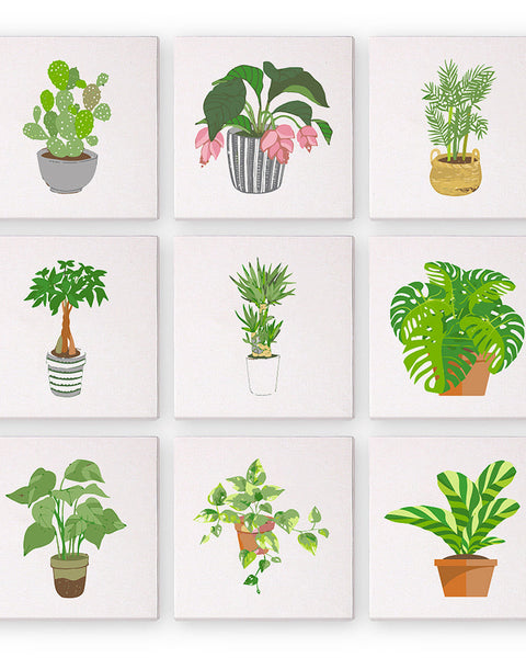 Collection of 9 mini-canvases (6x6 inches / 15x15 cm) from the Plant Parenthood Paint by Numbers Set by Artspark, featuring various plant designs.