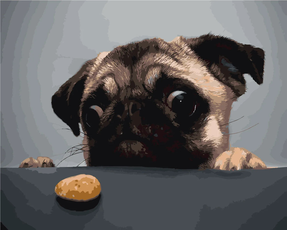Painting of a pug staring eagerly at a small treat