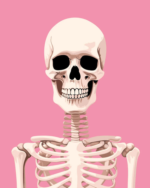 A detailed skeleton with a pink background and a grin