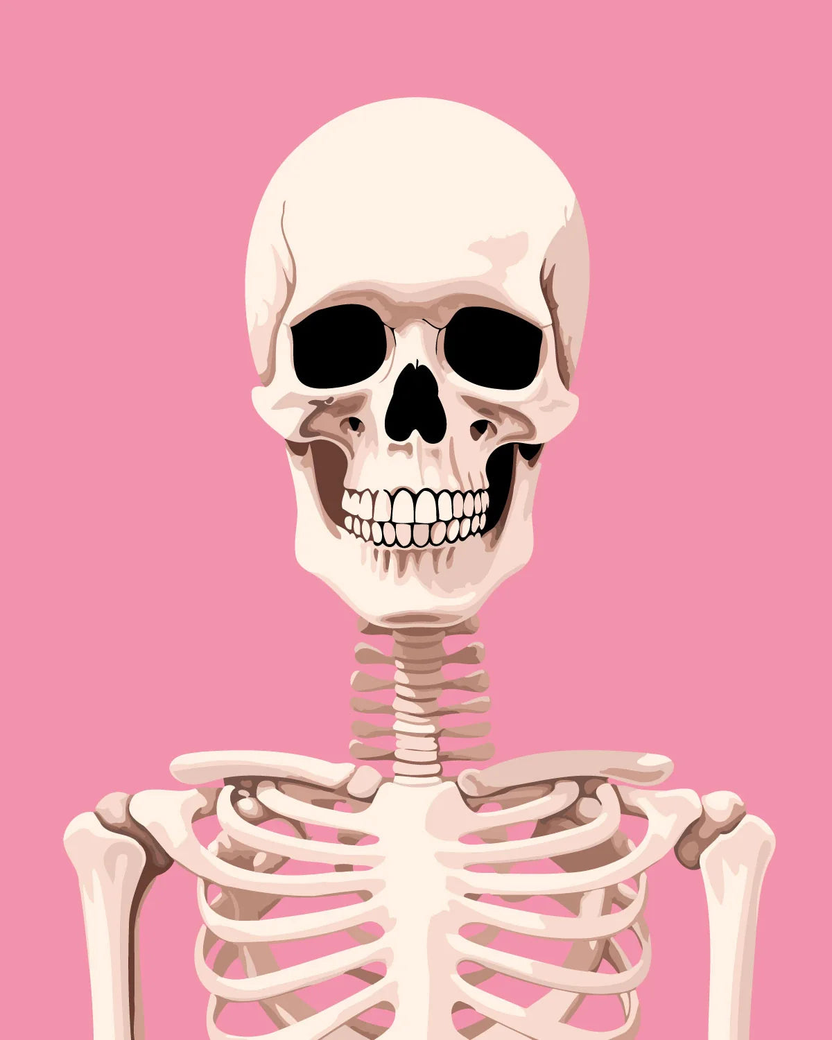 A detailed skeleton with a pink background and a grin