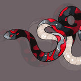 Banded red, black, and white stylized snake coiled on a dark taupe background. Coral snake-inspired paint by numbers kit design by Kalinina.