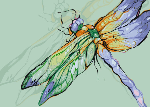 Stylized dragonfly with vivid wings in shades of green, orange, and purple, designed by Kalinina for the Dragonfly paint by numbers kit.