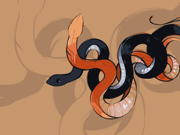 Two intertwined snakes—one black, one orange-peach—coiled on a warm tan background. A symbolic and surreal snake artwork by Kalinina.