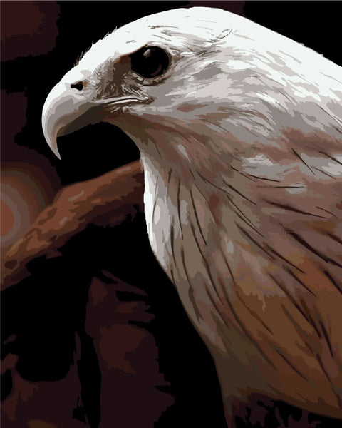 Close-up painting of a majestic white-headed eagle on dark background