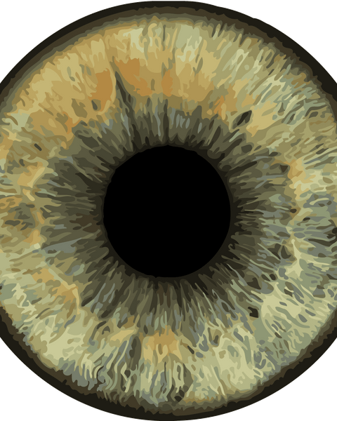 Realistic painting of a human eye iris in detail