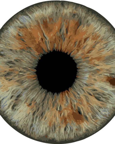 Hyper-realistic digital painting of a detailed brown human iris
