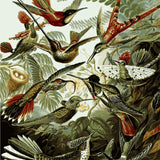 Vintage-style painting of exotic hummingbirds in a lush jungle setting