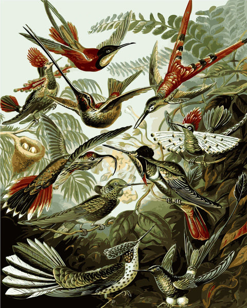 Vintage-style painting of exotic hummingbirds in a lush jungle setting