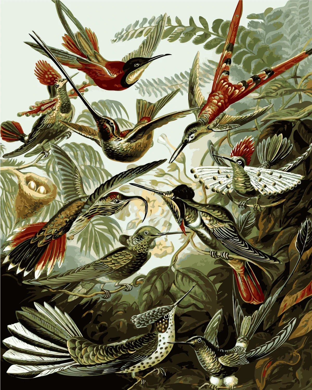 Vintage-style painting of exotic hummingbirds in a lush jungle setting