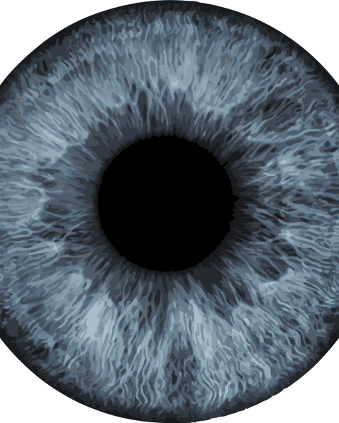 Close-up painting of a detailed blue human eye iris