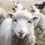 Close-up painting of a sheep with a flock in the background