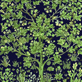 Lush green tree with detailed foliage on a dark background